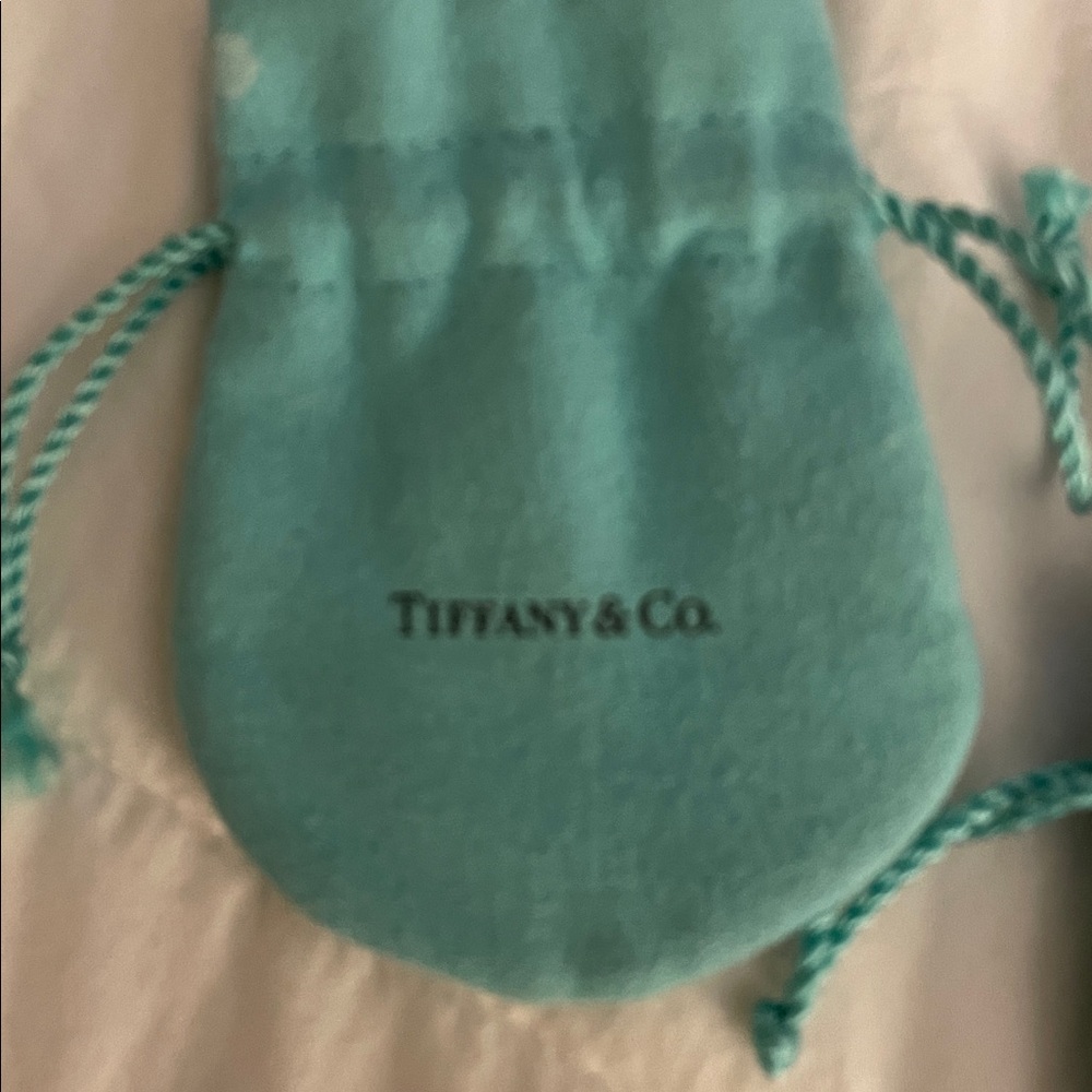 Tiffany & Co. Turquoise Drawstring Pouch - Picture 2 of 4
